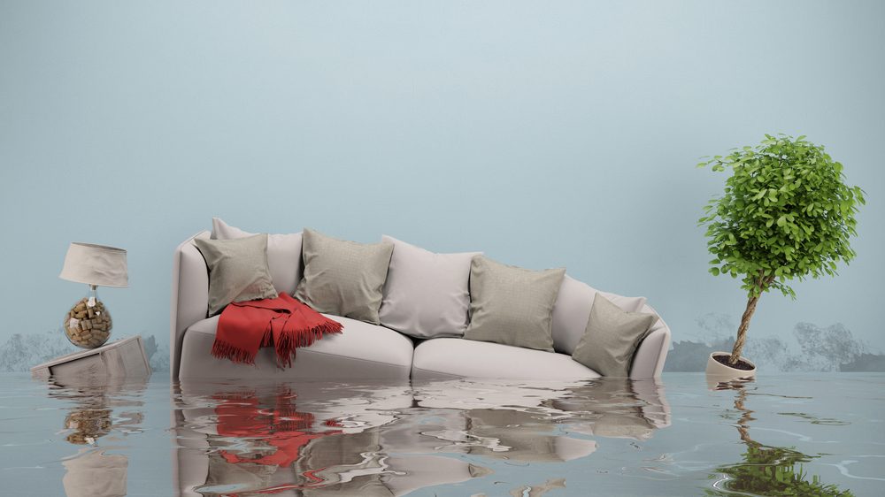 Insurance and Water Damage